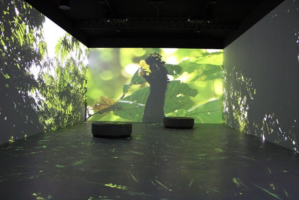 Nat Geo One World One Chance