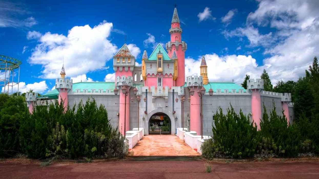 nata dreamland disney