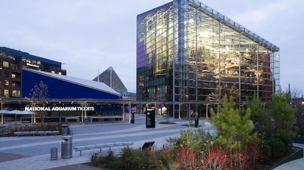 National Aquarium Baltimore