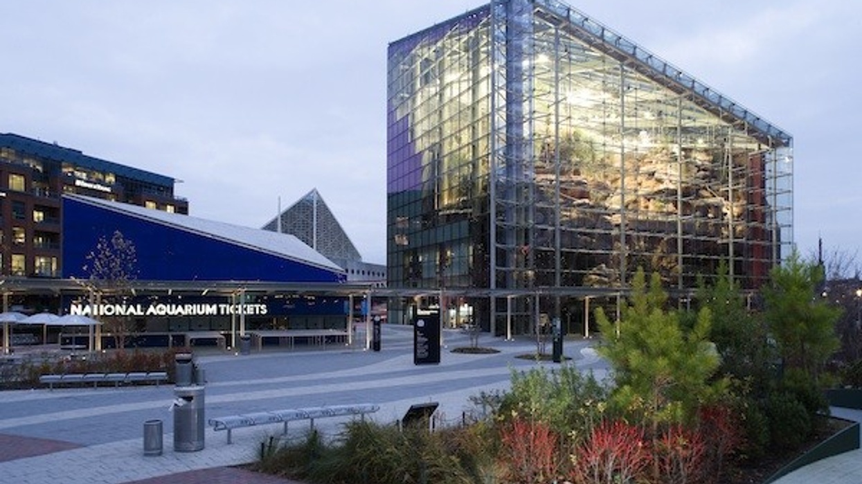 National Aquarium Baltimore