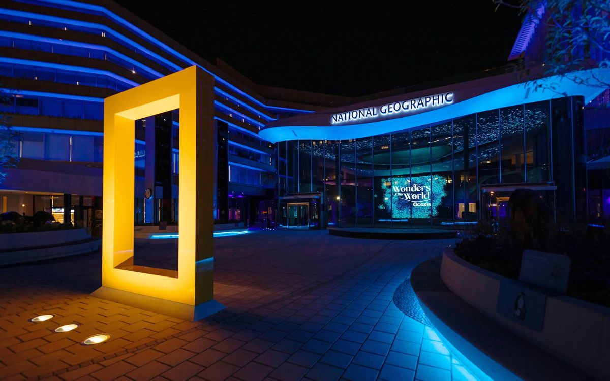National Geographic building at night, illuminated in blue and yellow lights.