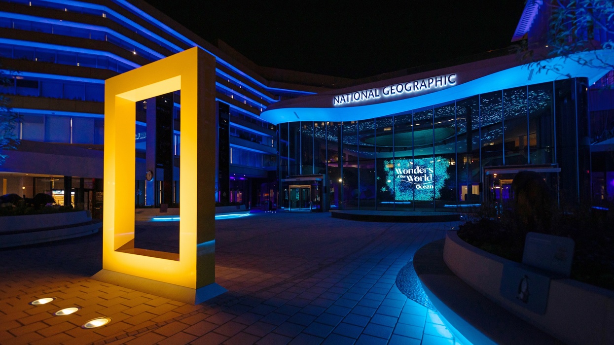 National Geographic building at night, illuminated in blue and yellow lights.
