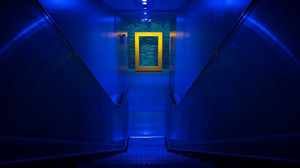 national geographic encounter: ocean odyssey decent to ticket lobby entrance