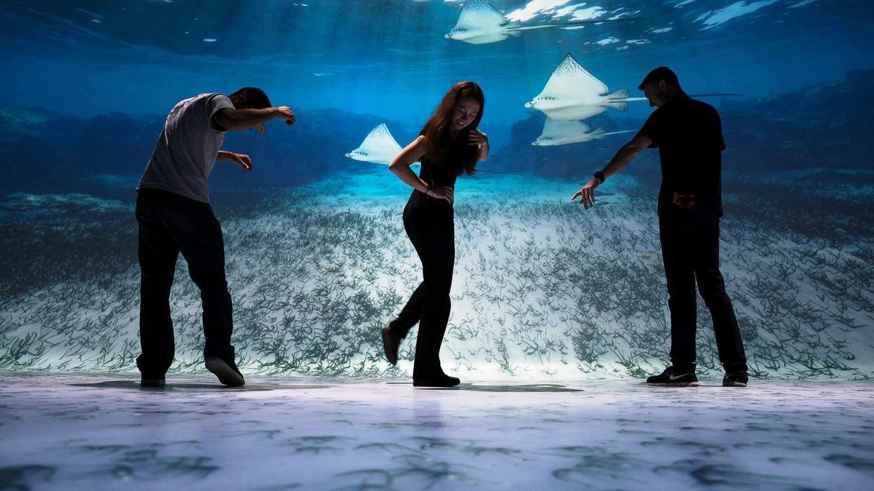 National Geographic Encounter: Ocean Odyssey ground-breaking deep sea immersive experience opens next month in Times Square.