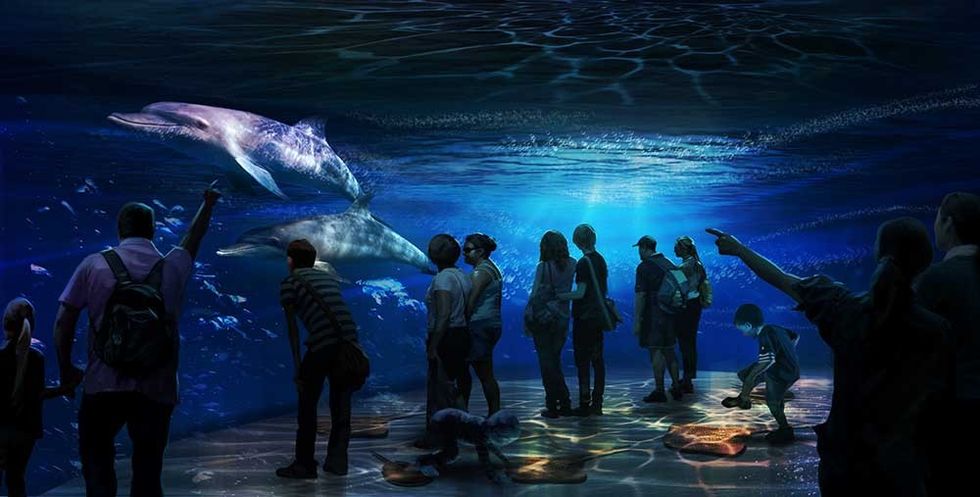 national geographic encounter: ocean odyssey shallow water