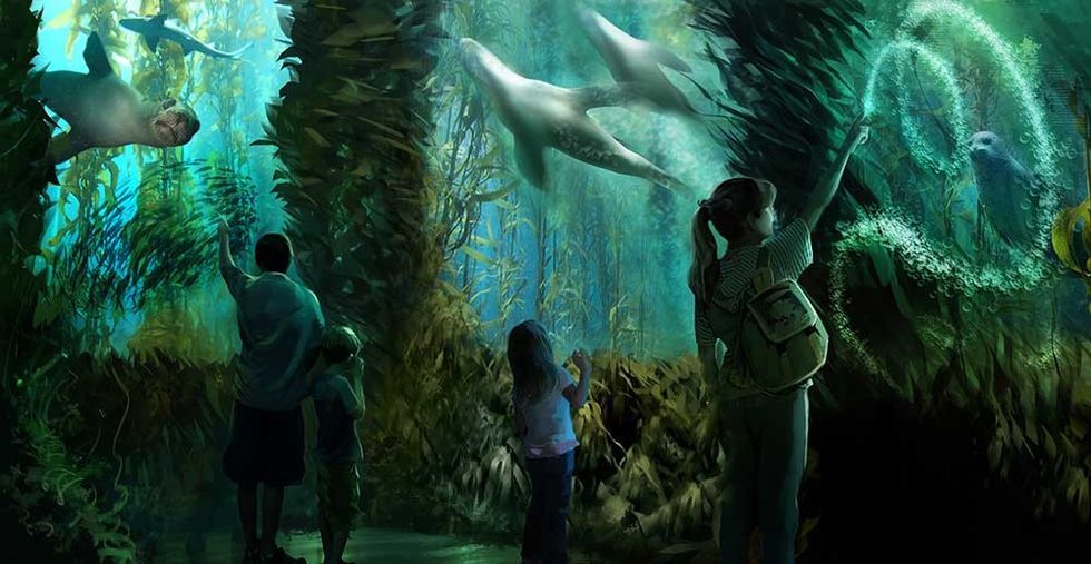 national geographic encounter sealion interaction