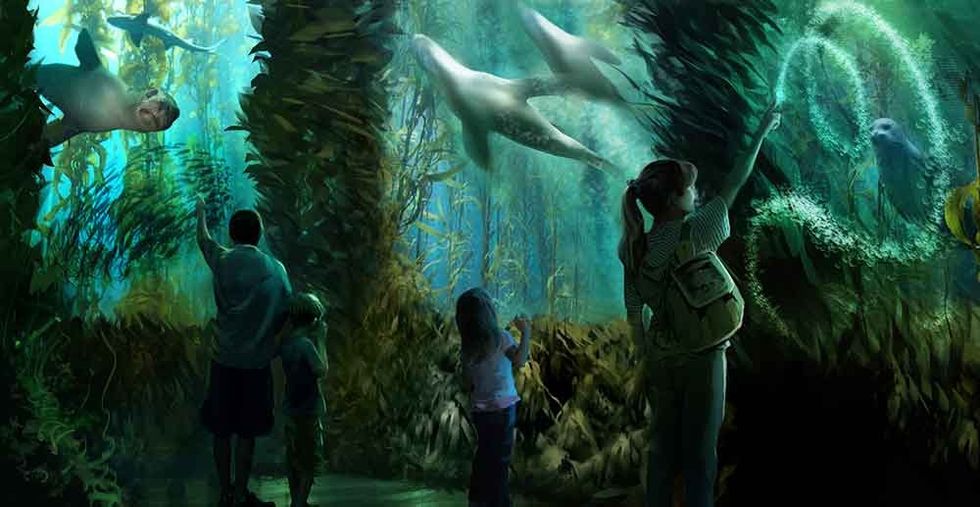 National Geographic Ocean Odyssey sealion interaction