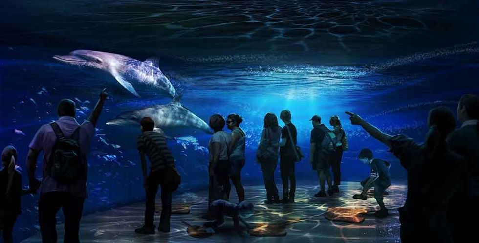 National Geographic Ocean Odyssey shallows