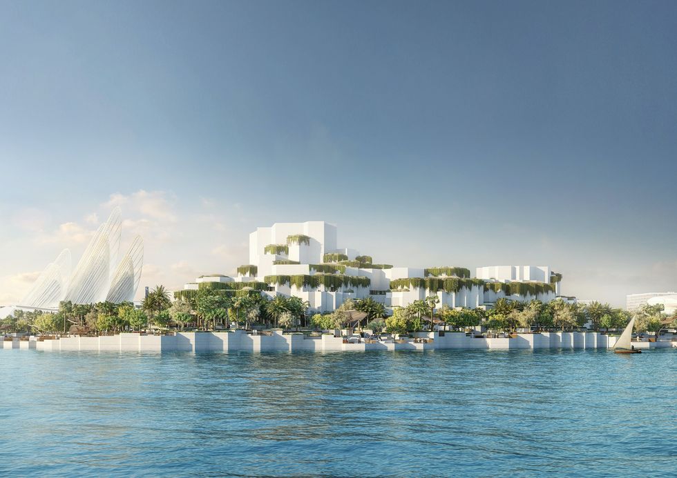 natural history museum abu dhabi miral Tourism trends UAE