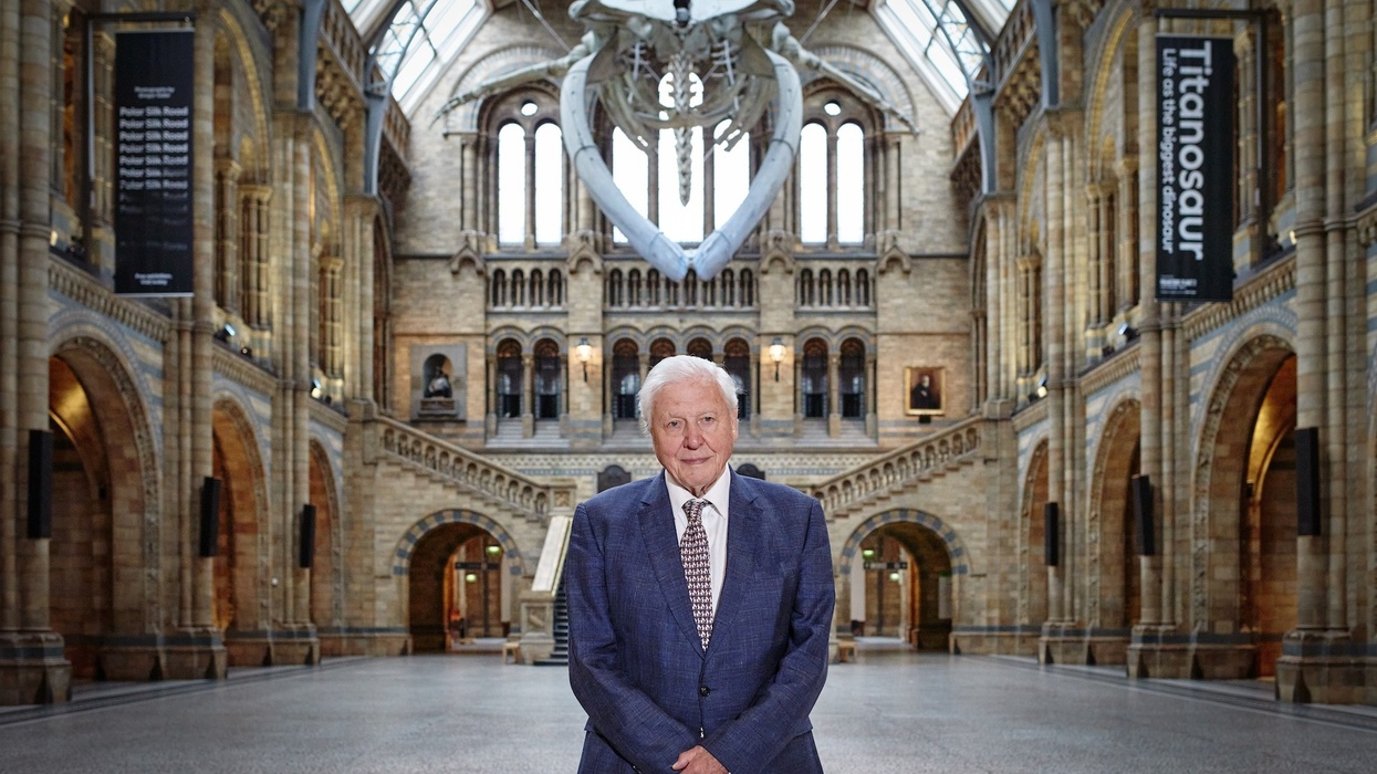 natural history museum david attenborough