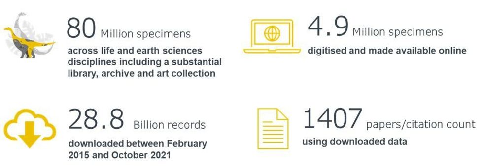natural history museum digitisation project