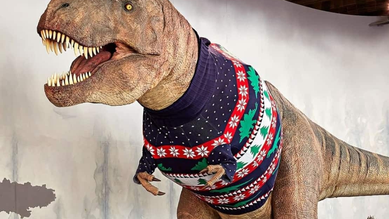 natural history museum dinosaur christmas jumper