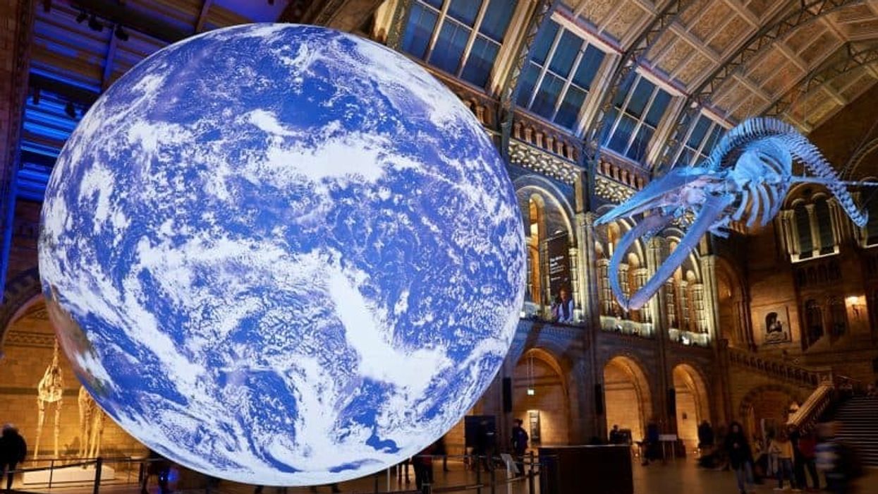 natural history museum earth