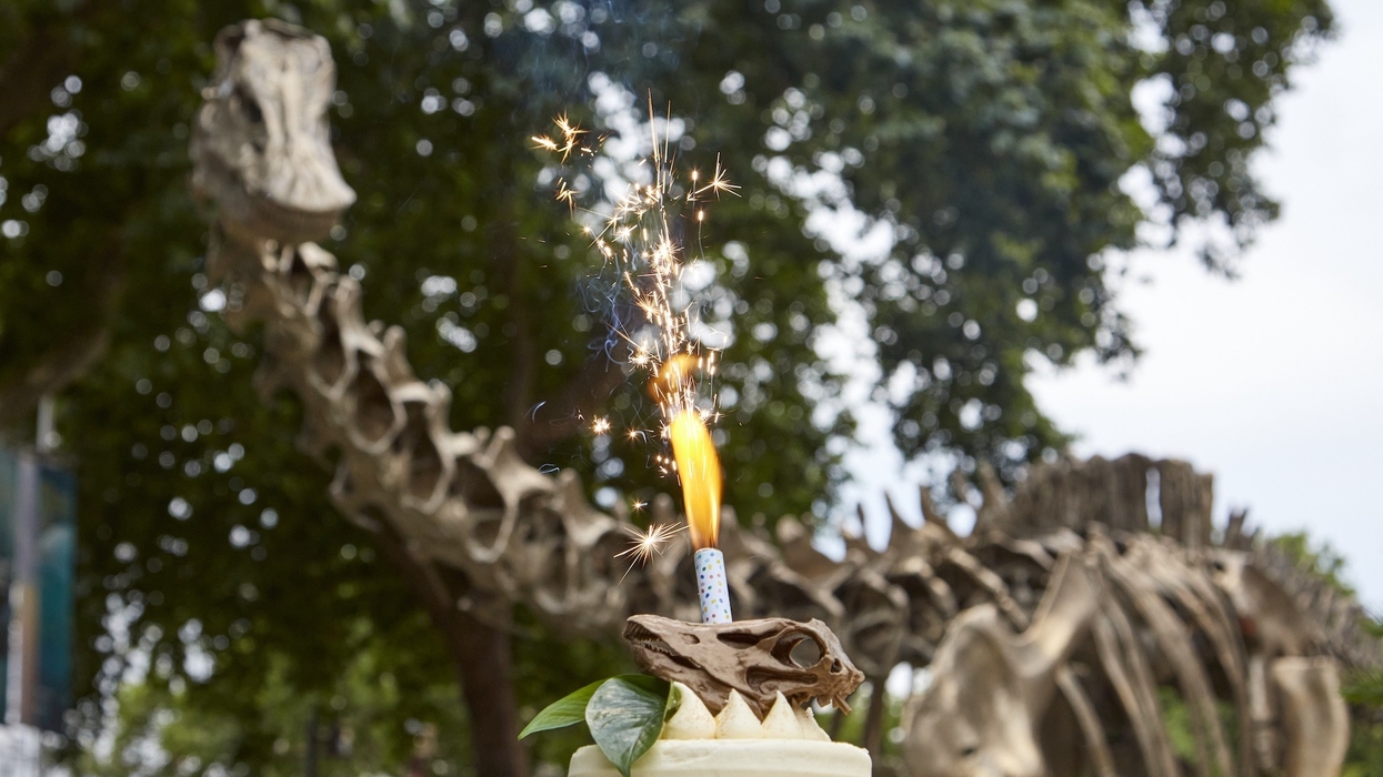 natural history museum gardens anniversary