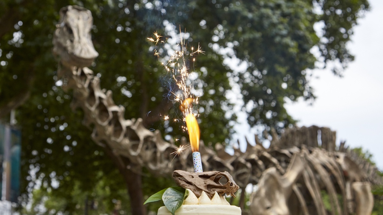 natural history museum gardens anniversary