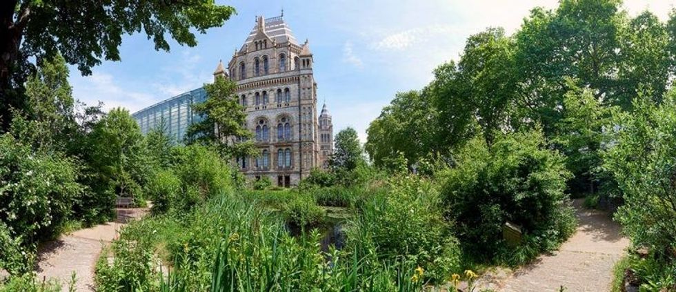 natural history museum gardens