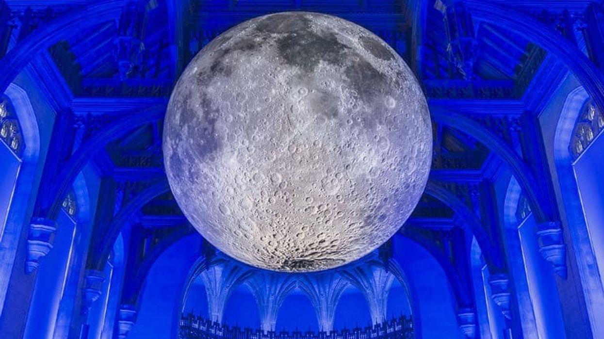 Natural History Museum gets into wellness with yoga under the Moon museum yoga