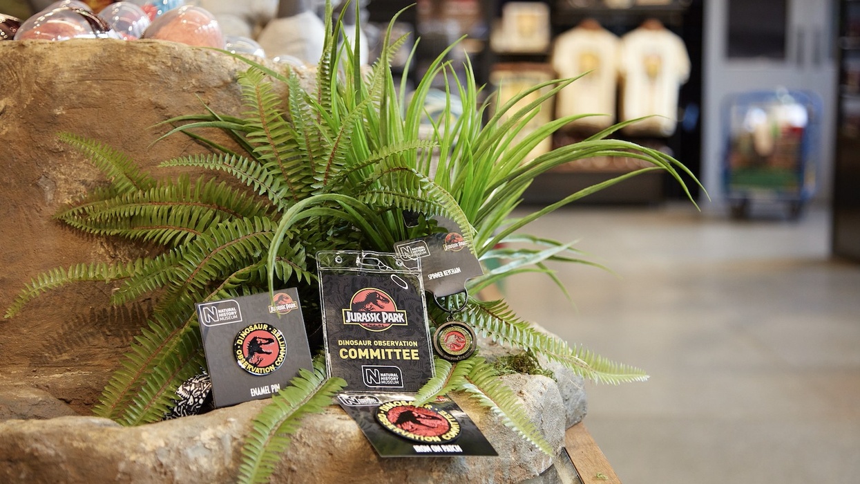 natural history museum jurassic park shop