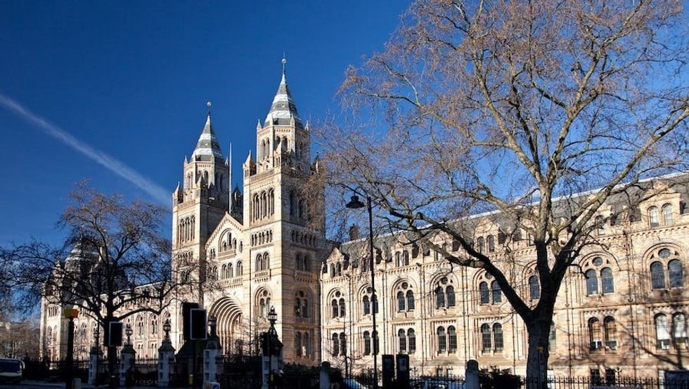 Natural History Museum, London - historic stone building with large towers under a clear blue sky, surrounded by leafless trees.