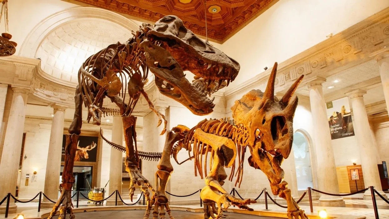 natural history museum los angeles county