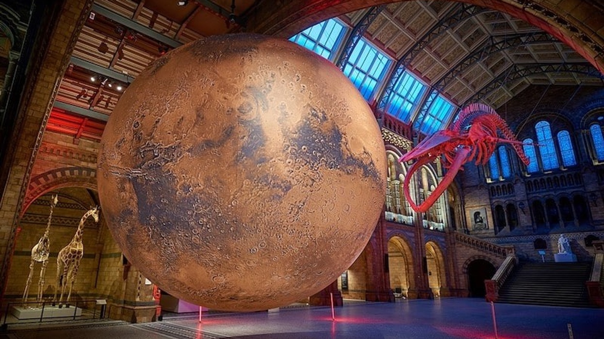 natural history museum mars