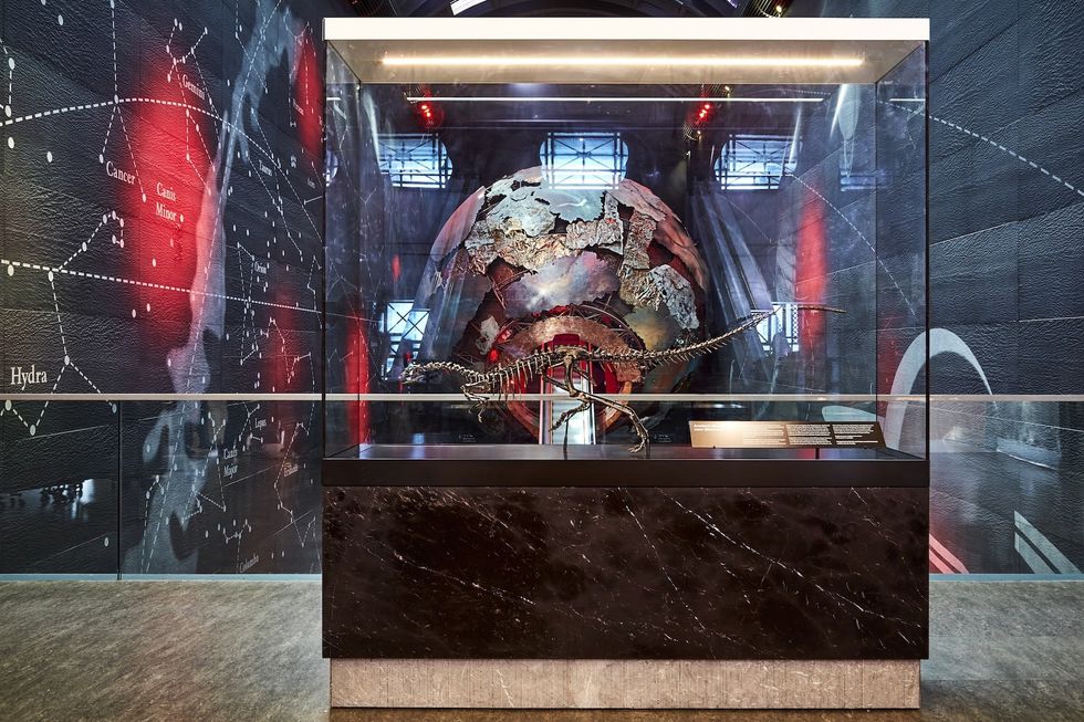 natural history museum new dinosaur