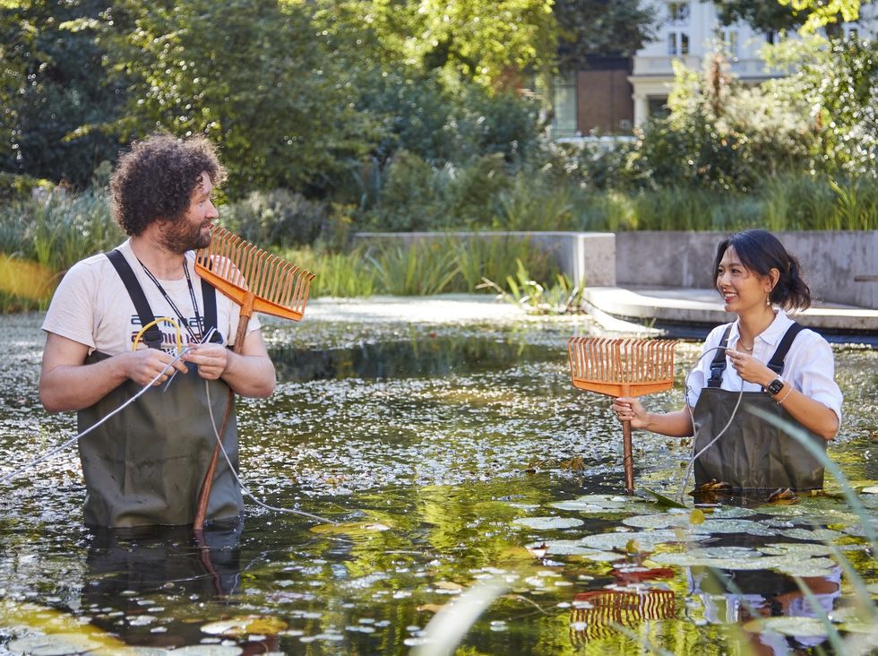 natural history museum new garden sensors
