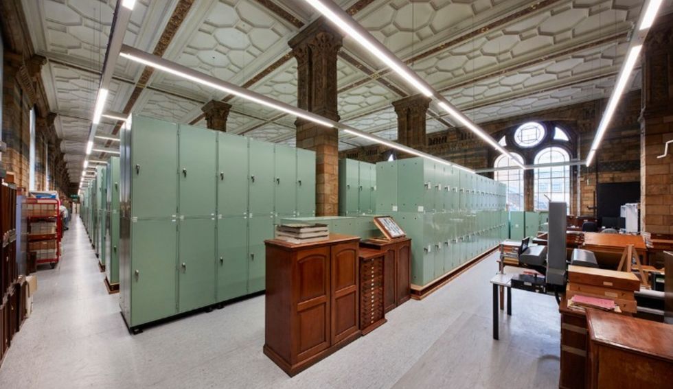 natural history museum origins gallery