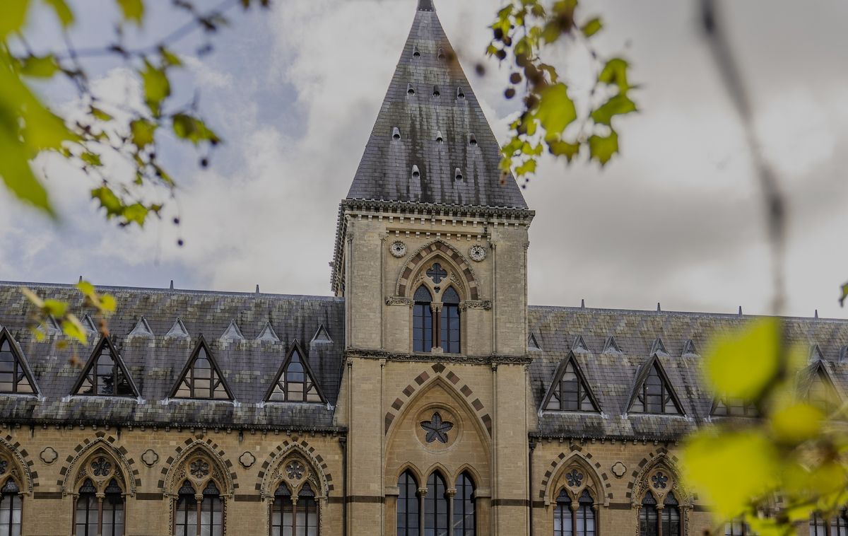 Natural History Museum Oxford -  a Gothic-style building with pointed tower, framed by green leaves.
