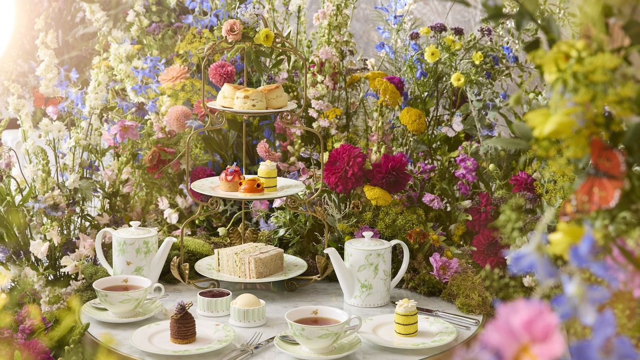 natural history museum royal lancaster afternoon tea