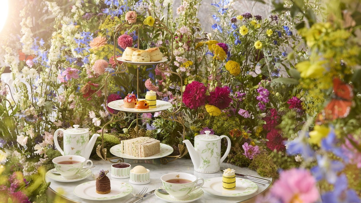 natural history museum royal lancaster afternoon tea