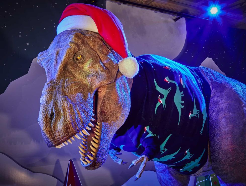 natural history museum t-rex christmas jumper