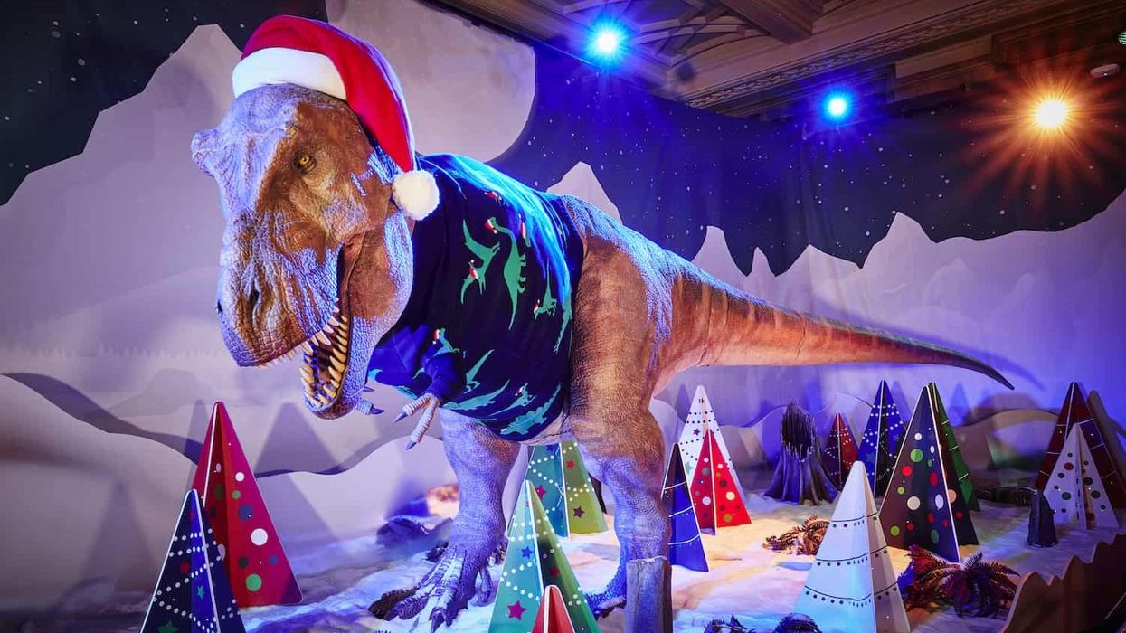 natural history museum t-rex christmas jumper