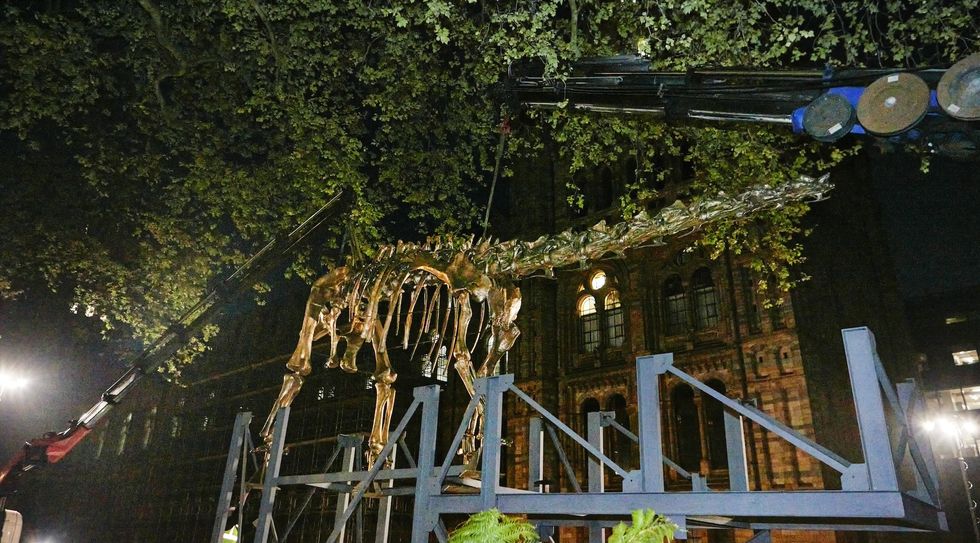 natural history museum transformed gardens