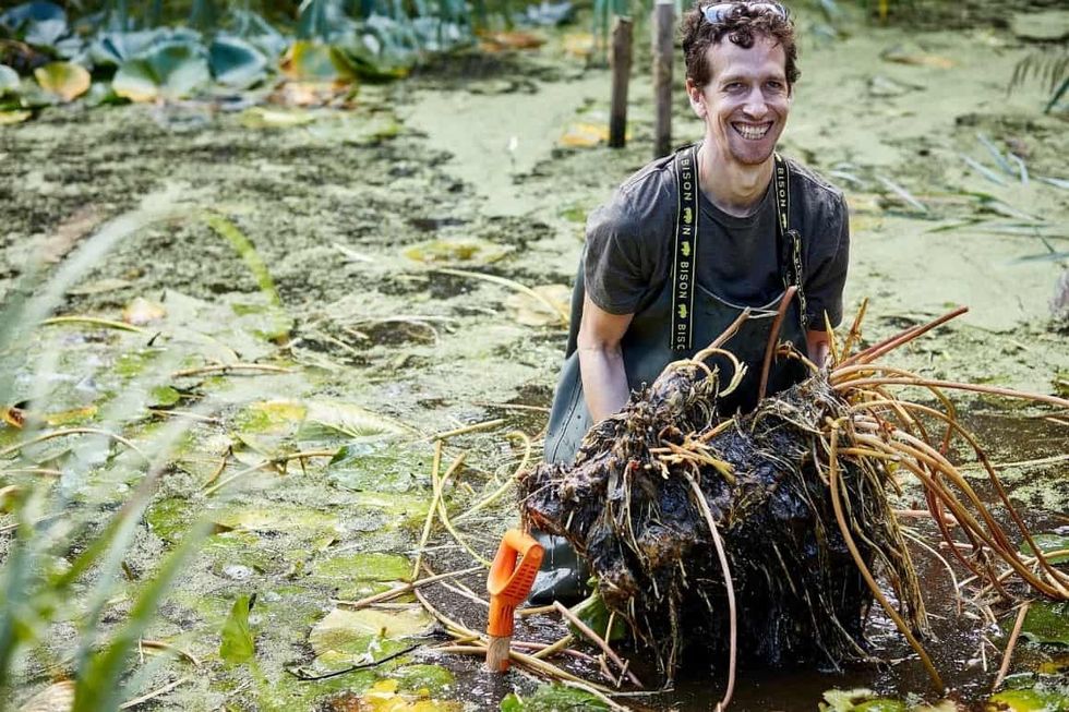 natural history museum urban nature project sustainability trends