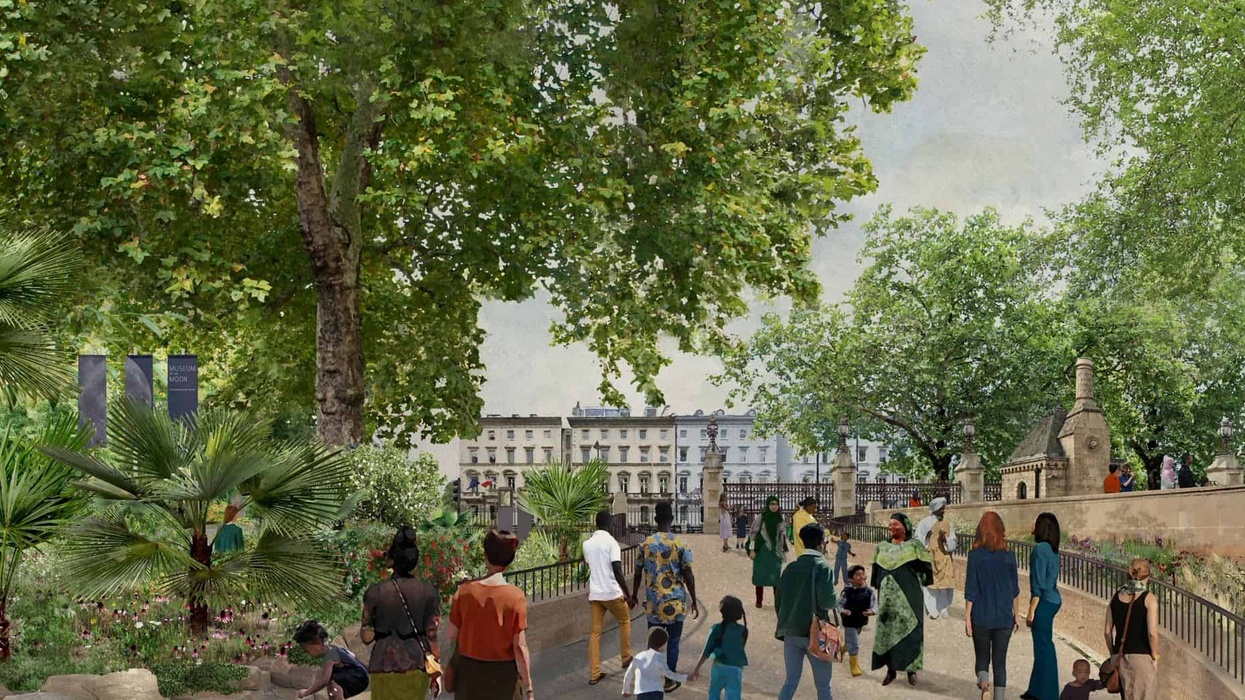 natural history museum urban nature project