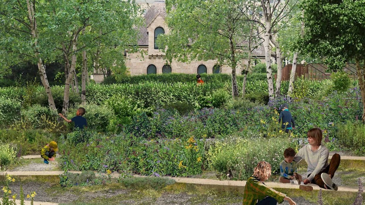 natural history museum urban nature project