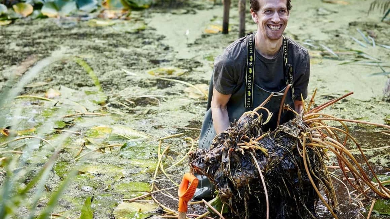 natural history museum urban nature project