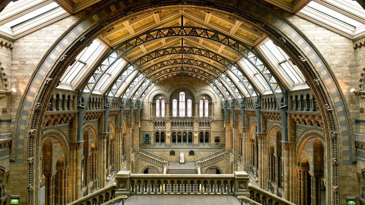 natural history museum
