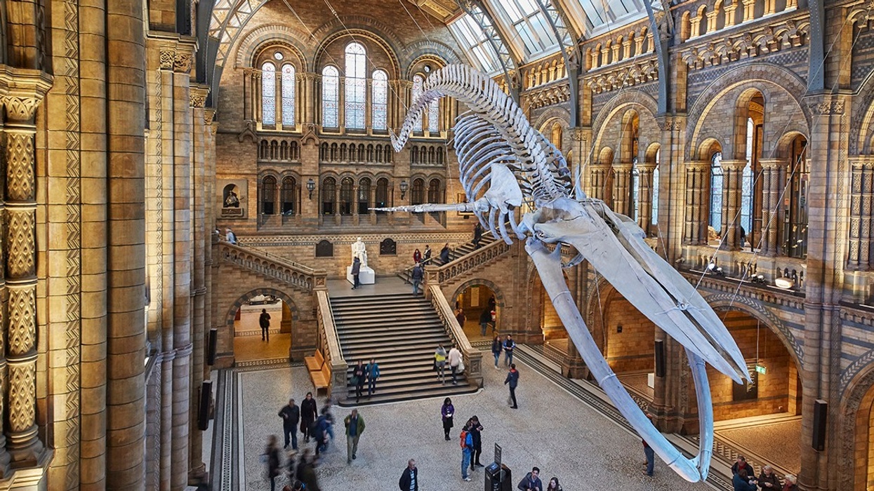natural history museum