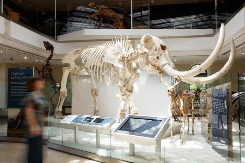 Natural History Museums of Los Angeles County
