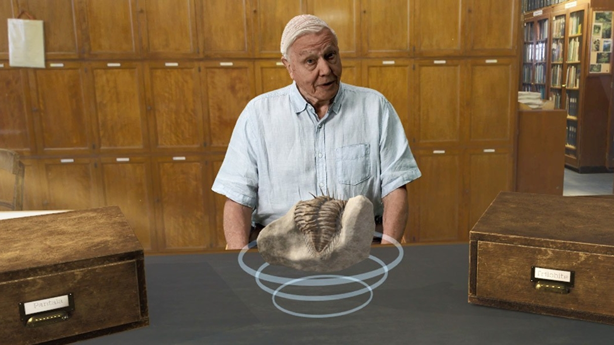Naturay History Museum Hold The World VR experience with David Attenborough