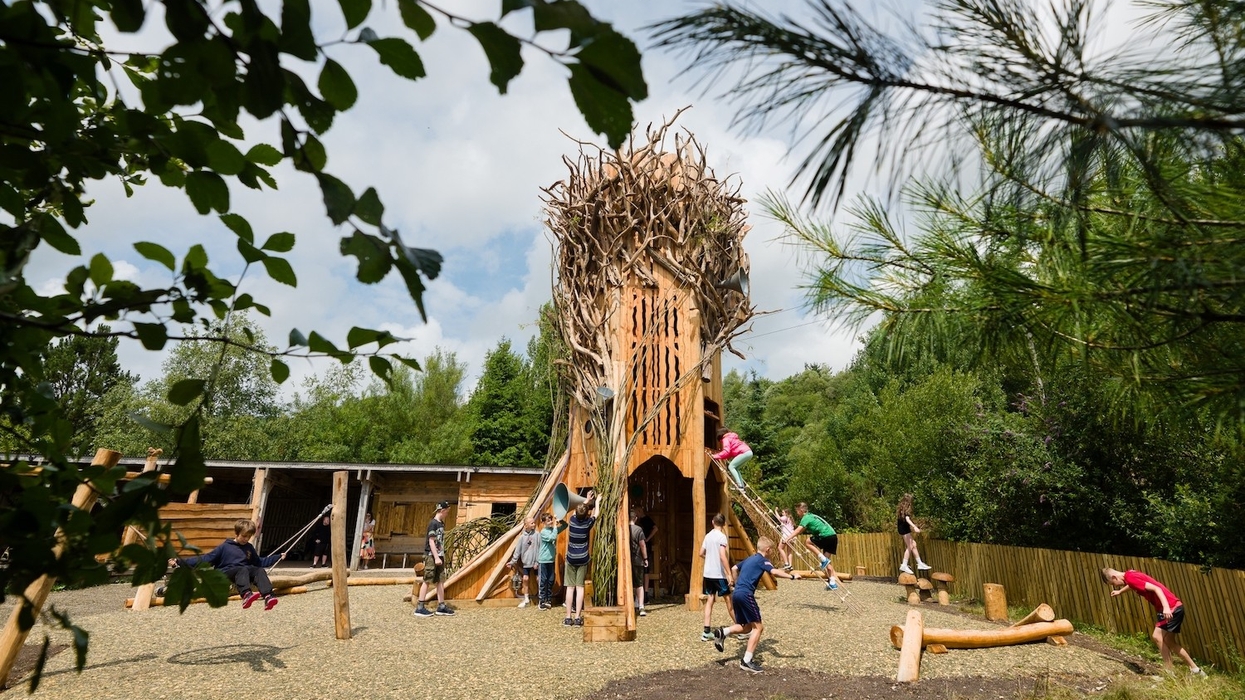 nature's playground eden project