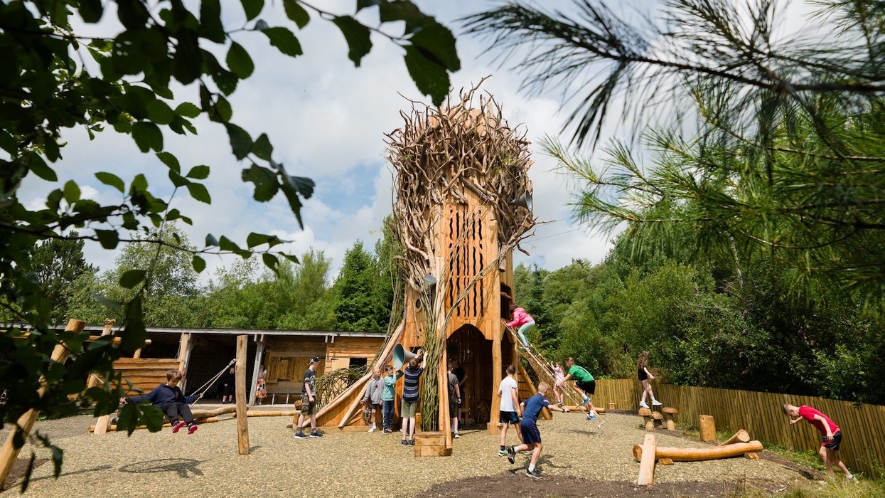 nature's playground eden project