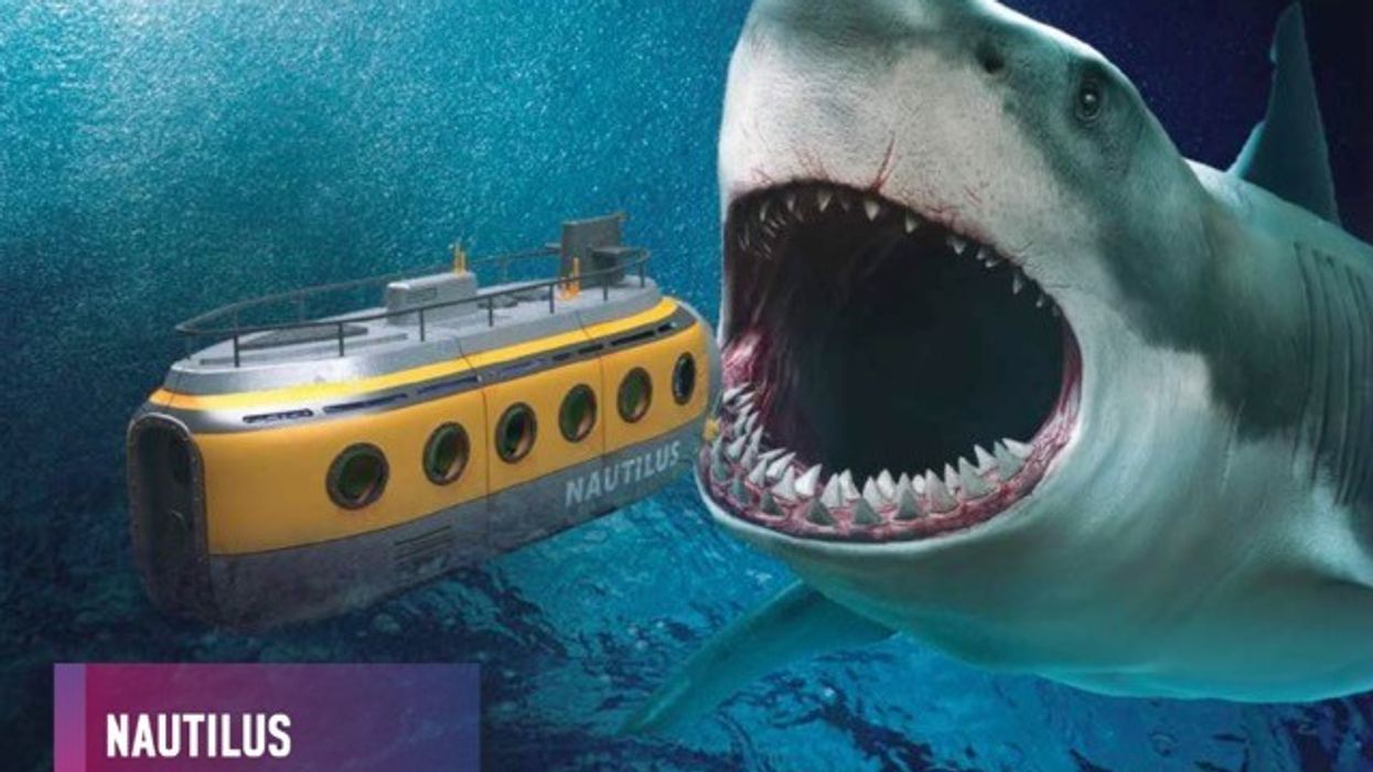 Nautilus - shark