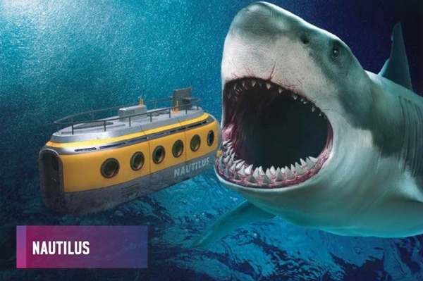 Nautilus - shark