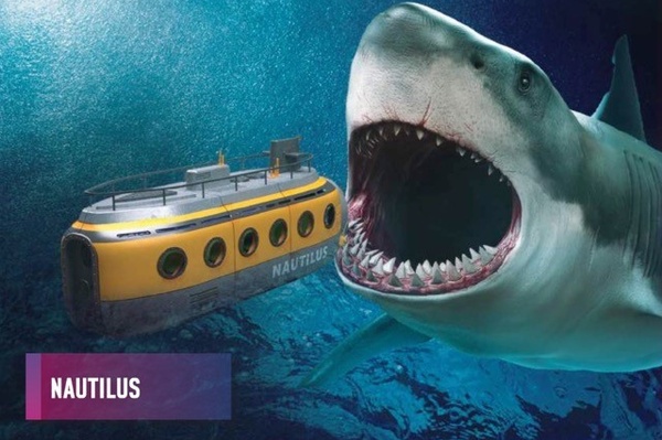 Nautilus - shark