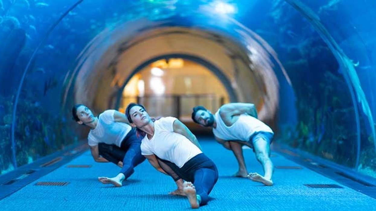 nderwatunderwater yoga at Dubai Aquarium