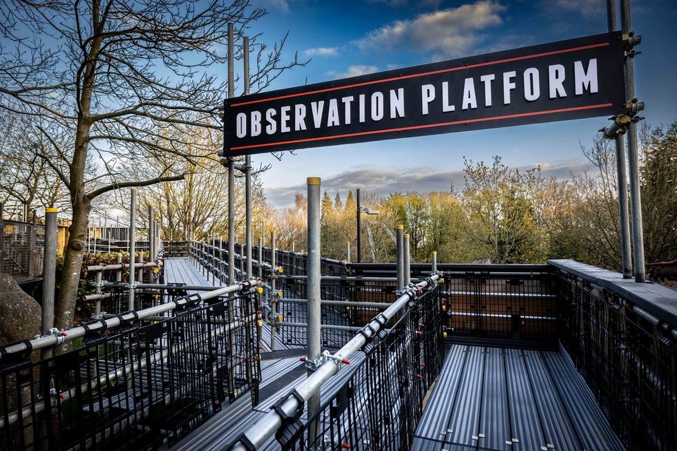 Nemesis entrance