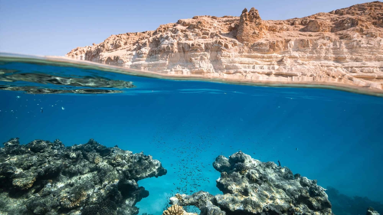 neom saudi arabia